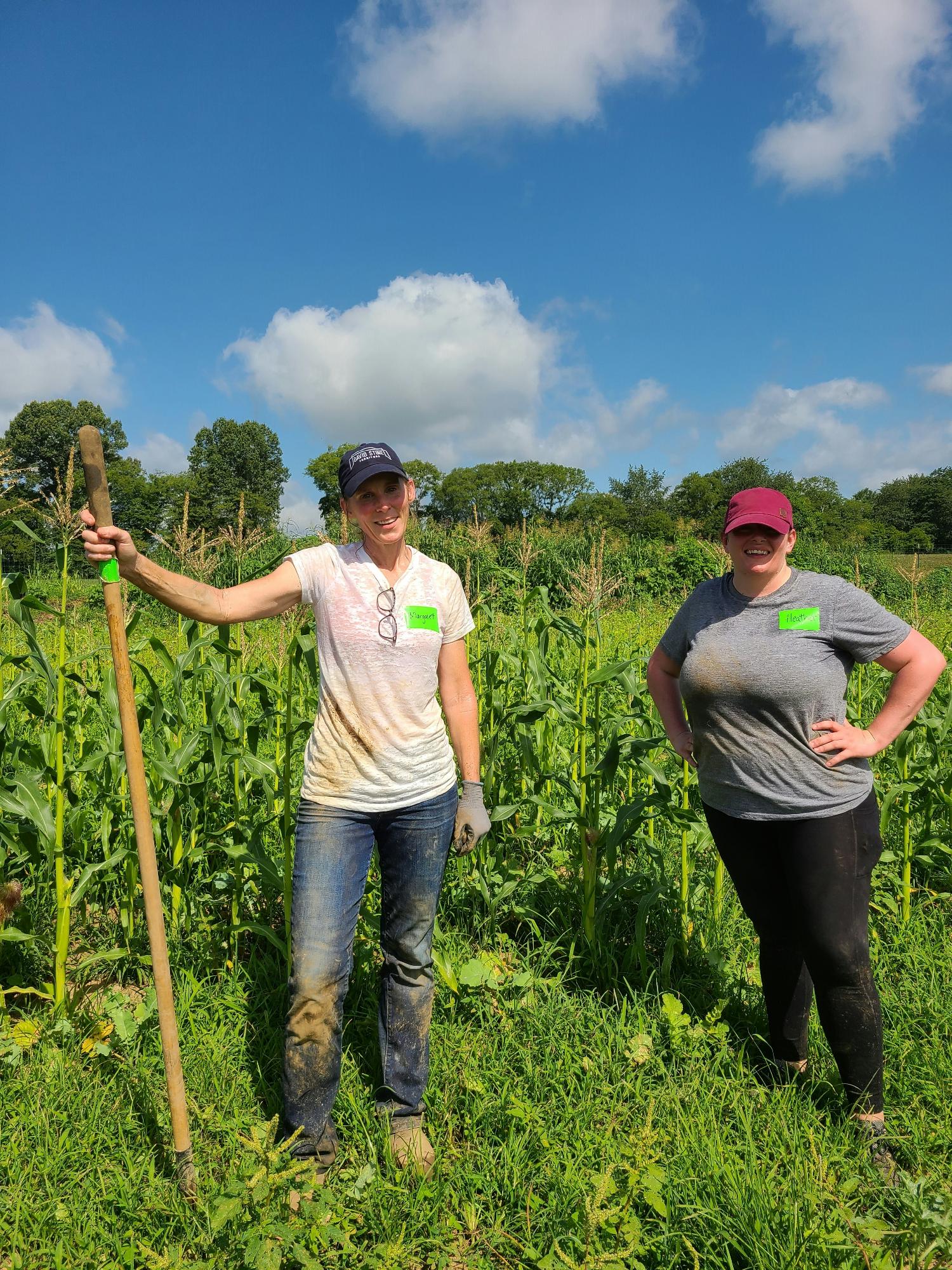 Second Harvest Farms to Families Volunteer Event 2020
