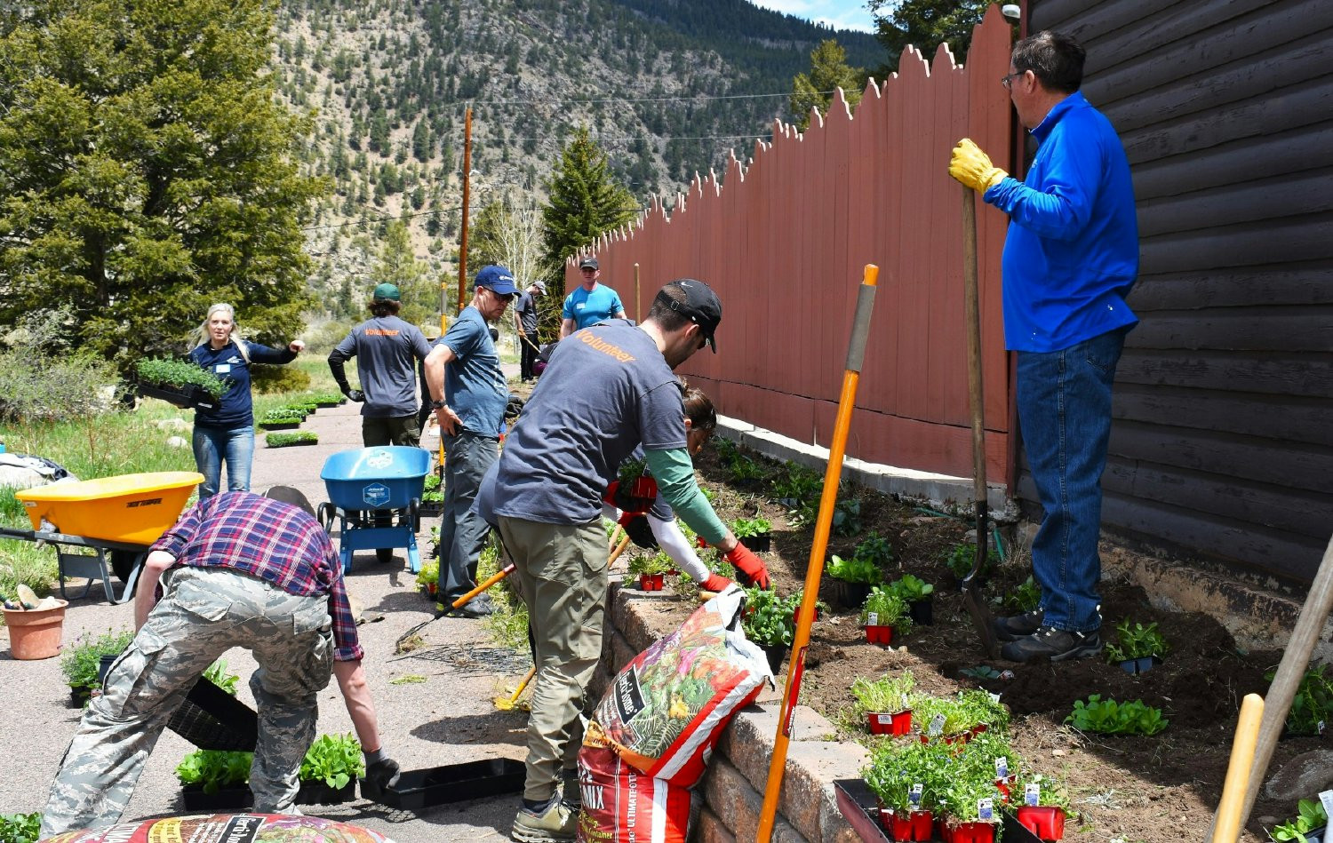 Denver staff roll up their sleeves for a volunteer day to beautify a camp for those with disabilities. 