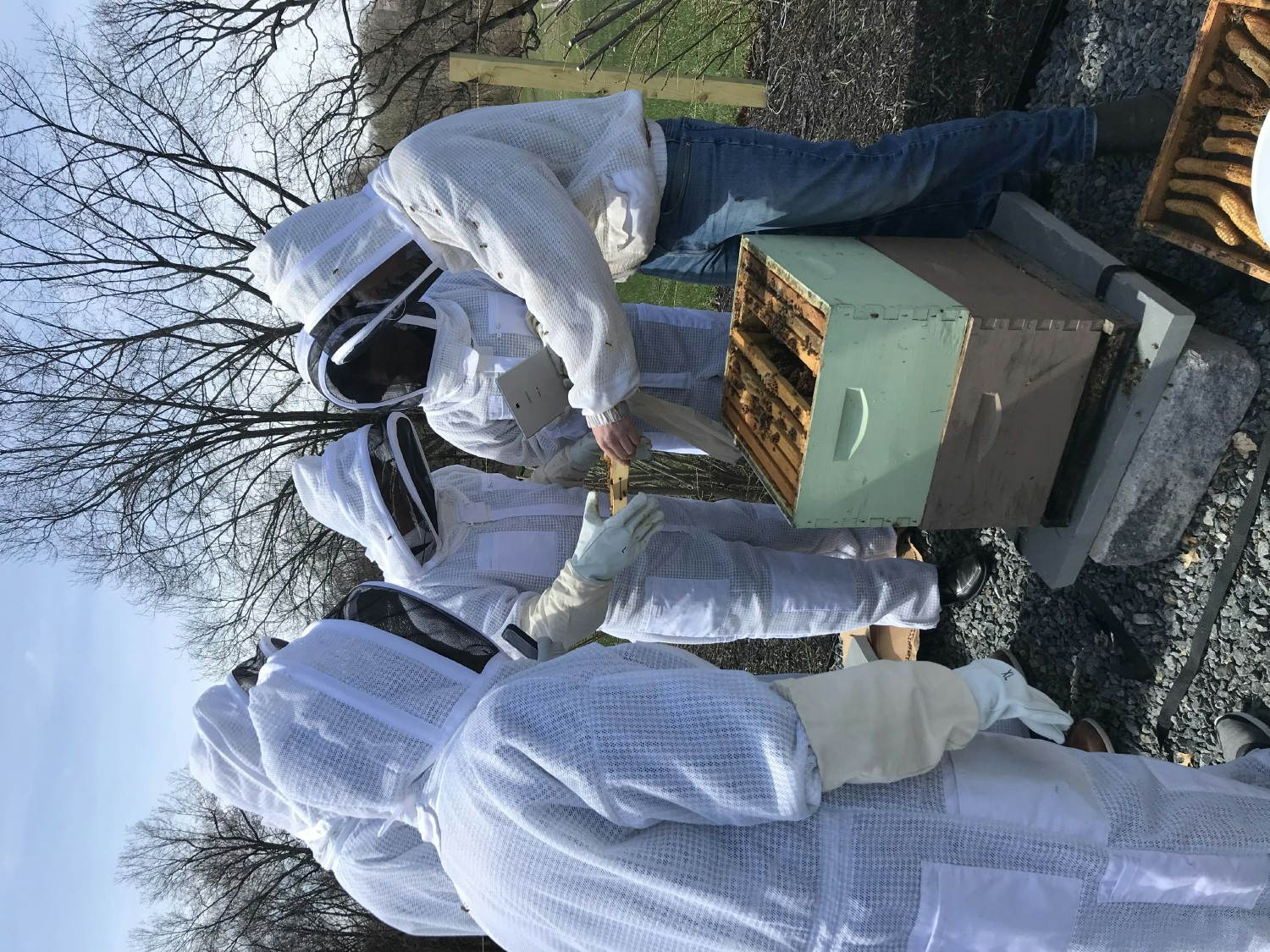 Our Beelievers (Environmental) Employee Resource Group working in our on-site Apiary.