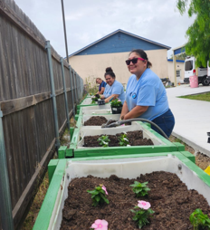 Community spirit is in full bloom in Brownsville, TX as volunteers work together to plant vibrant flowers.