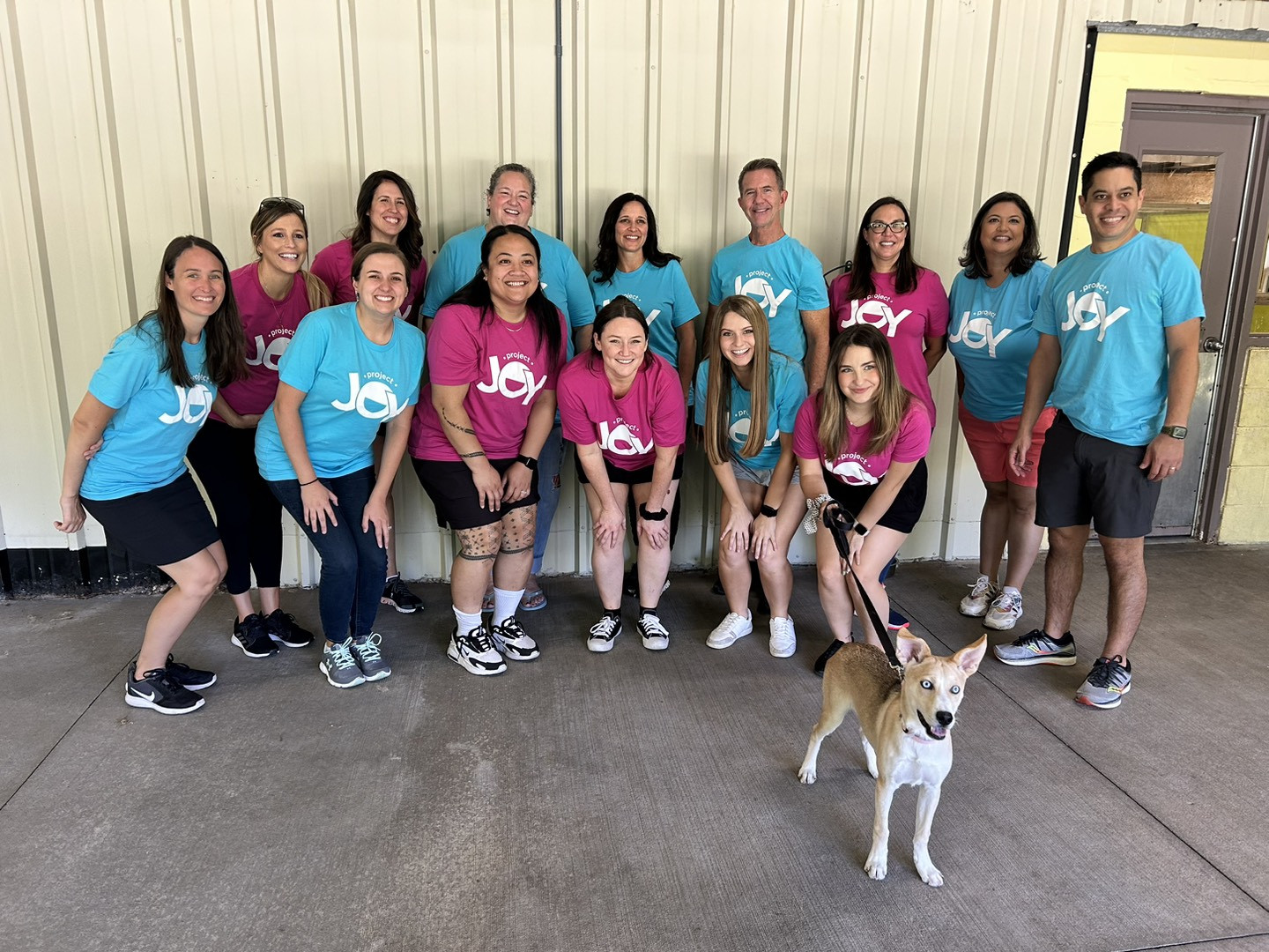 BMC Project Joy Community Service Project @ Wayside Waifs Animal Shelter (KC)