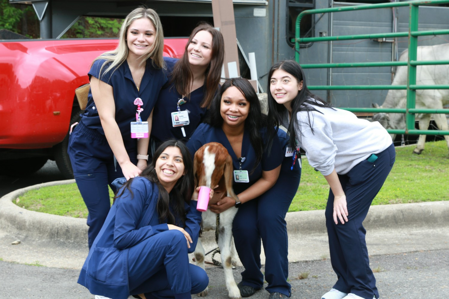 Baptist Health College celebrates students with a petting zoo. 