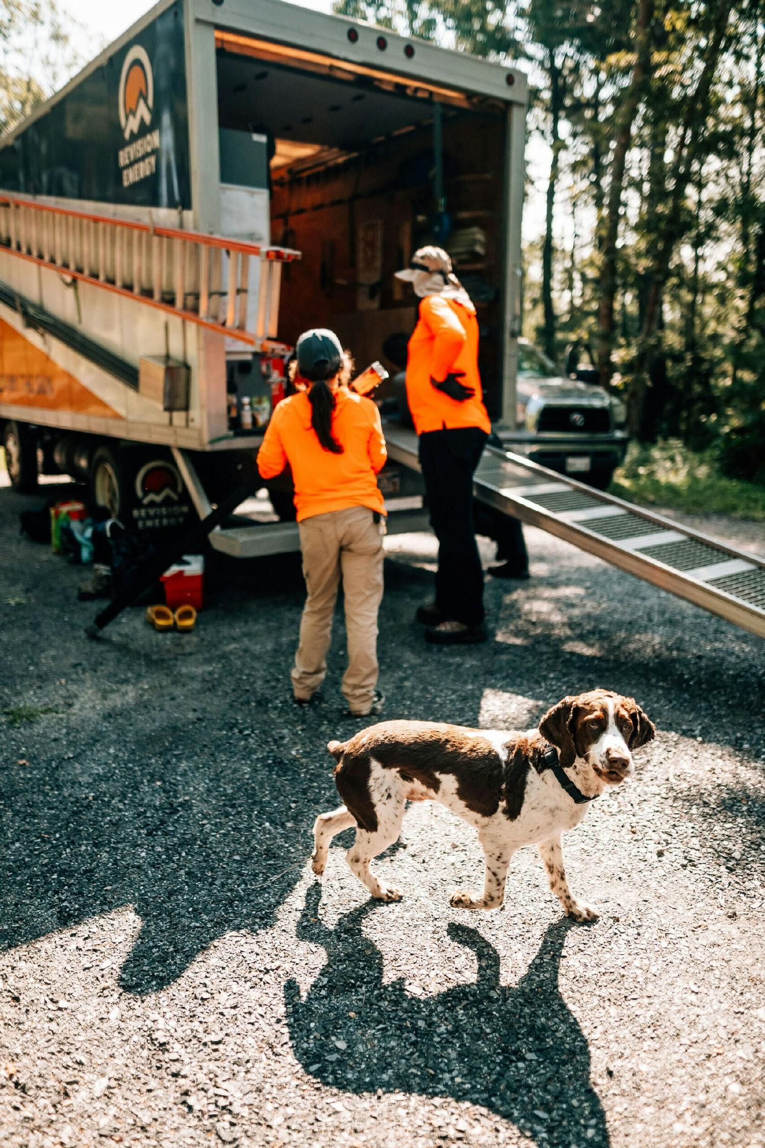 Our installation crews are always ready to engage with our customers, including their four-legged companions. 