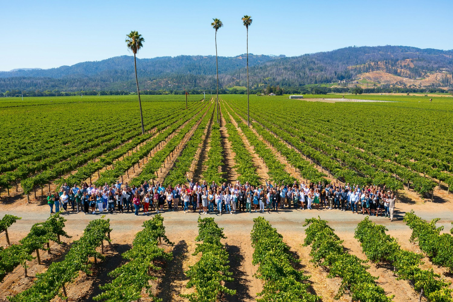 Sales team gathered at our famous Three Palms vineyard.