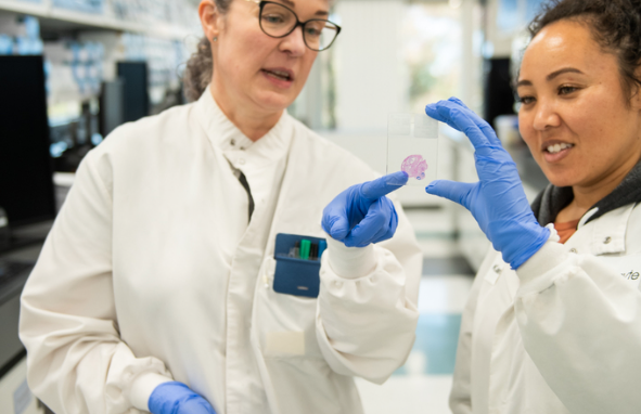 Collaborating for Impact – Our teams work together to deliver innovative solutions that improve patient lives.