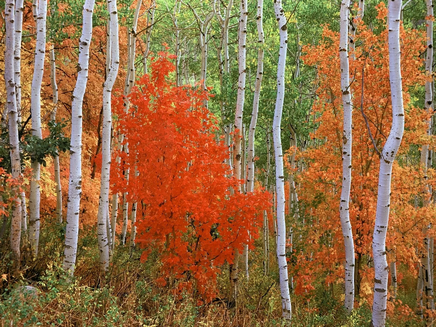 Working at Aspen Healthcare | Great Place To Work®