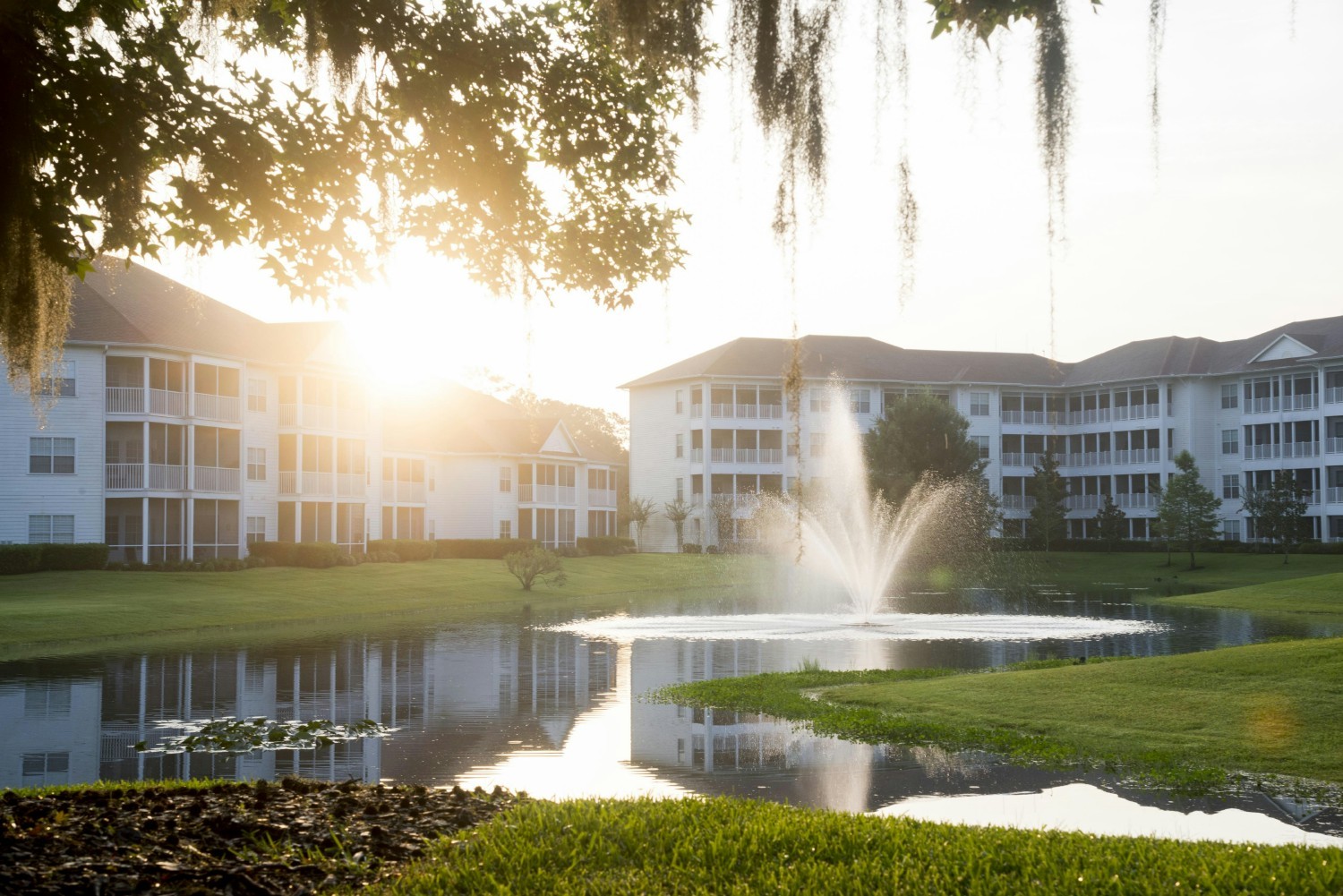 Sunrise over Magnolia Grand