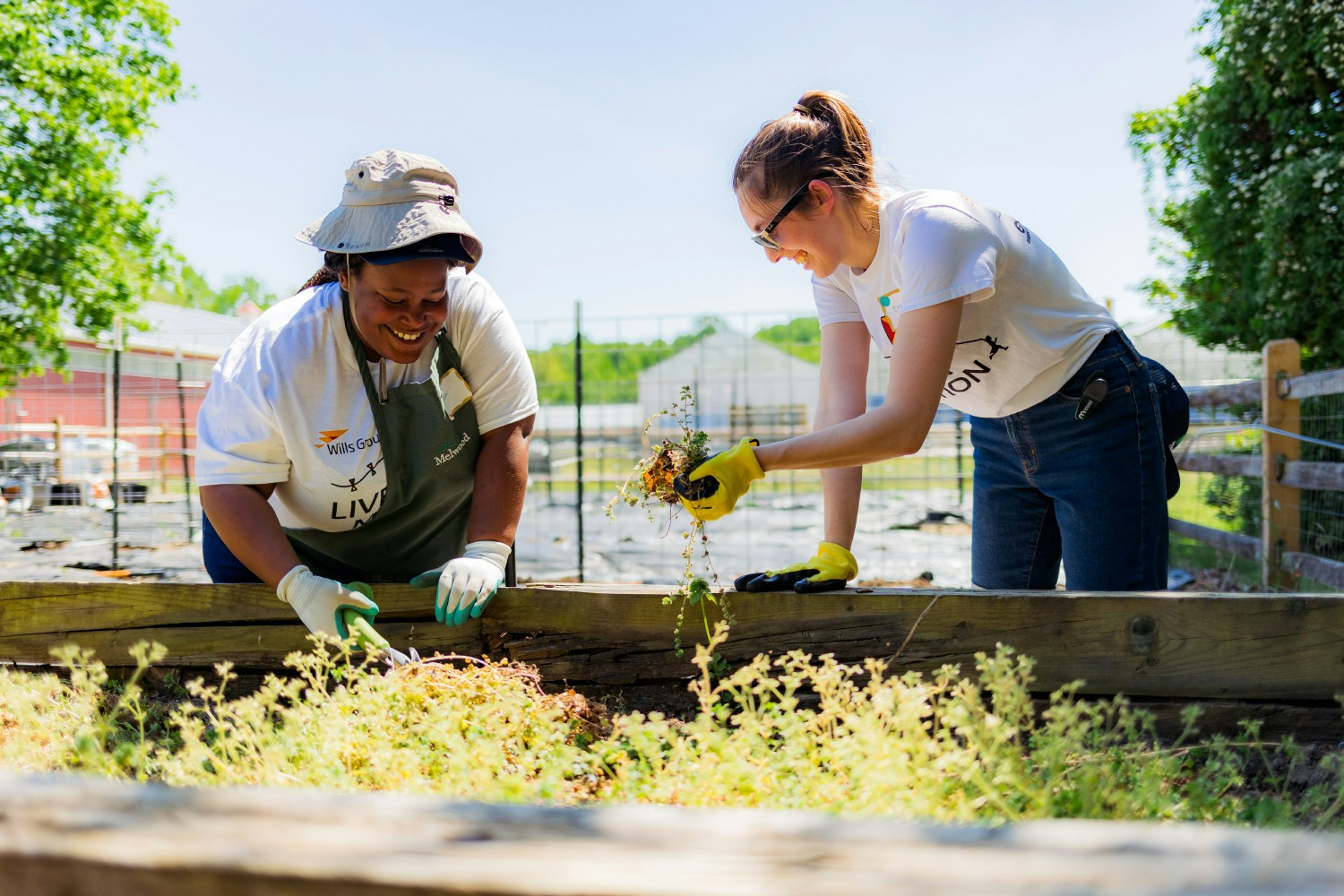 Wills Group employees come together during a volunteer day to prep the garden at Melwood Camp Accomplish.