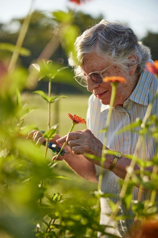 Not only does Taylor Glen appease to horticulturalist, we have a resident led garden as well with fresh vegetables!