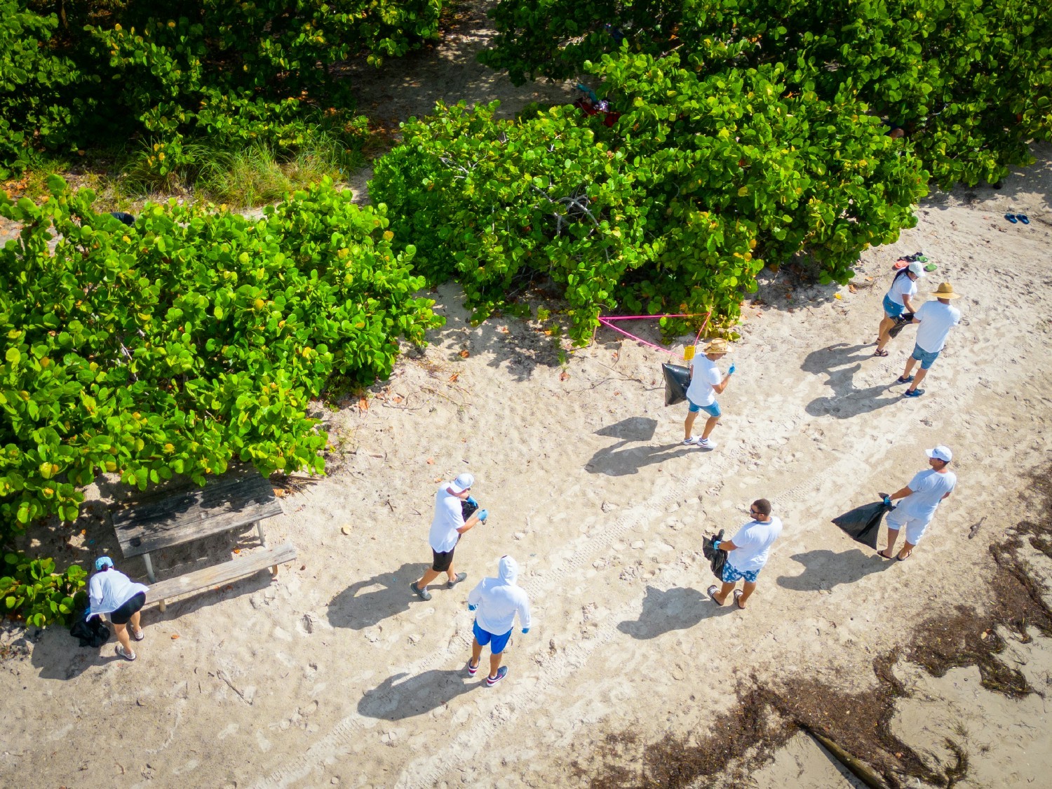 Our Miami, FL team enjoyed an Ocean Day Beach Clean up event in Virginia Key Beach.  