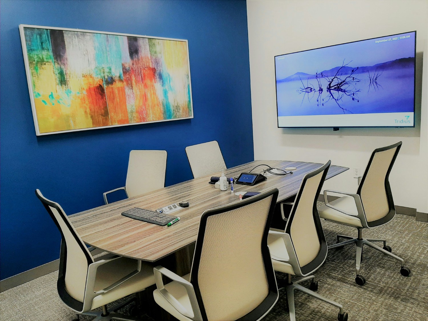 Tridius Technologies office space in the Plano, TX headquarters.
