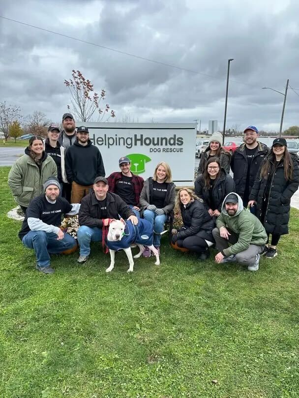 SIDEARM team volunteering at Syracuse-based dog rescue Helping Hounds.