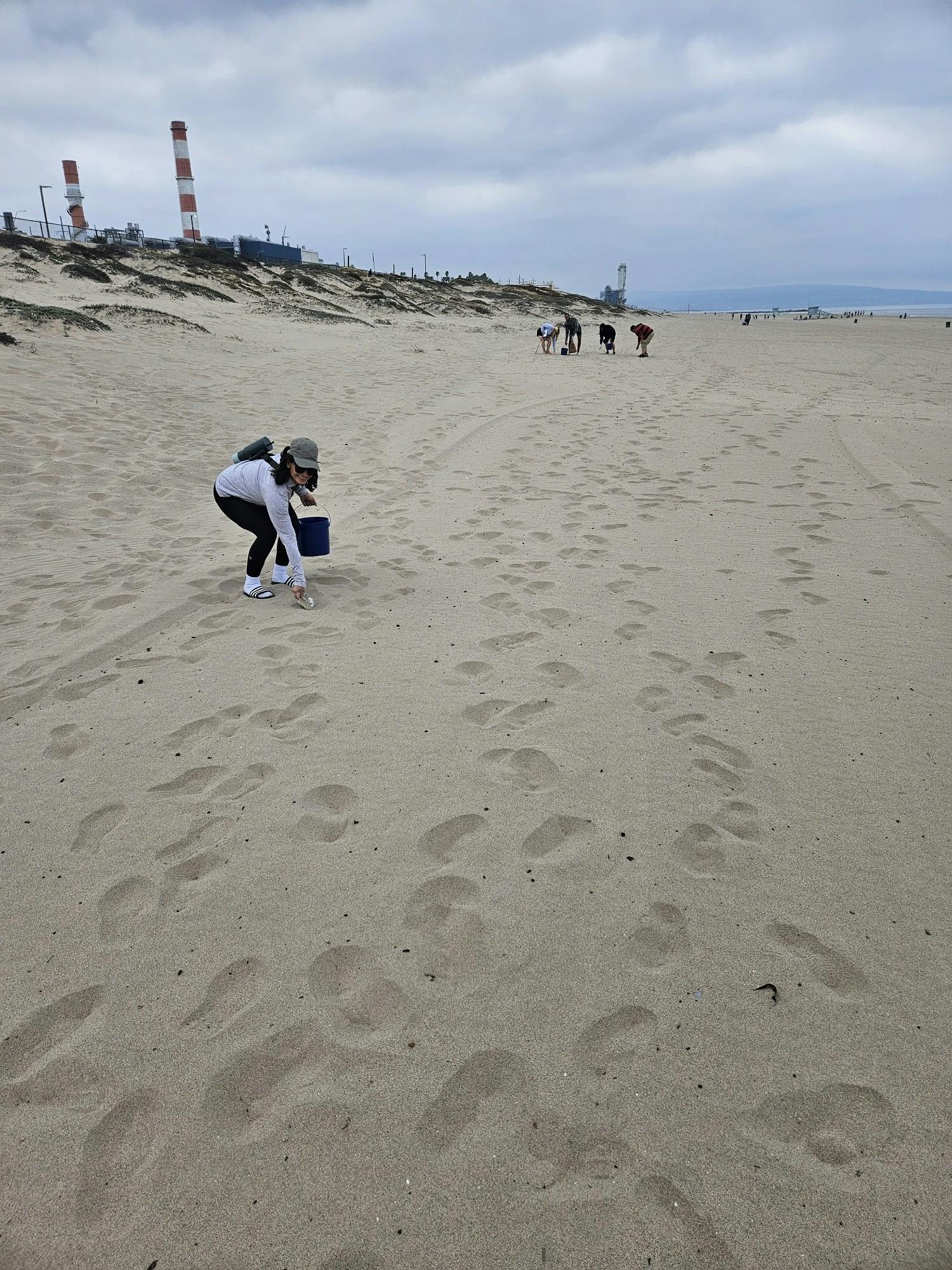 Picking up trash at the Beach Clean up