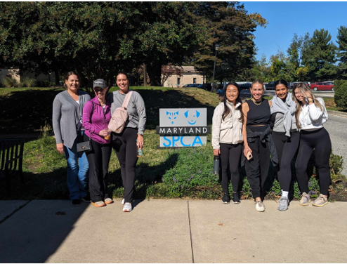 COPT Defense HR Team volunteering at Maryland SPCA in Baltimore City.