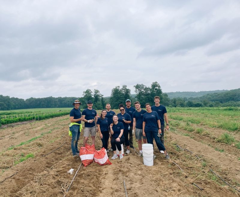 Employees spent the day volunteering at a farm to harvest food for a food pantry. 