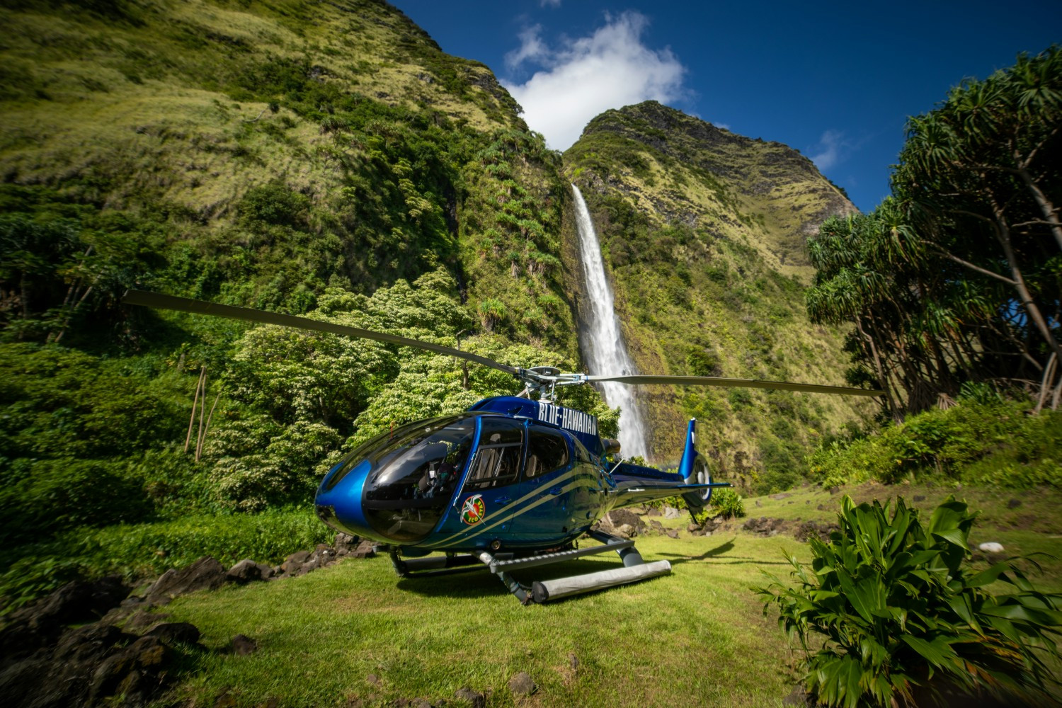 One of our tours features a landing at a private waterfall! Only available with Blue Hawaiian.