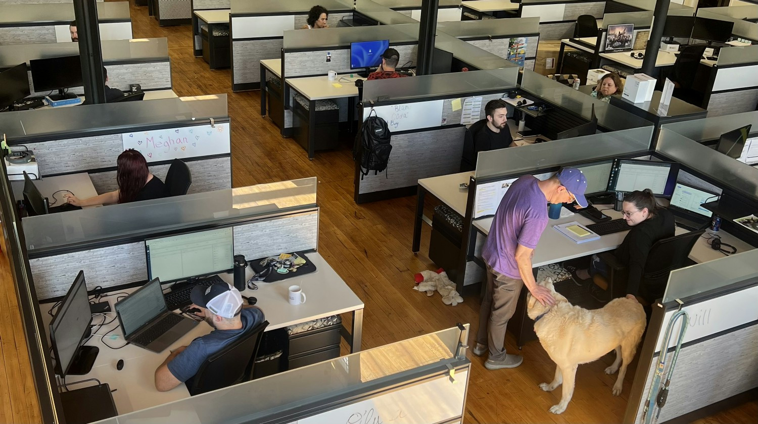 Our offices provide bright, airy spaces for our team and dogs are welcome everyday!