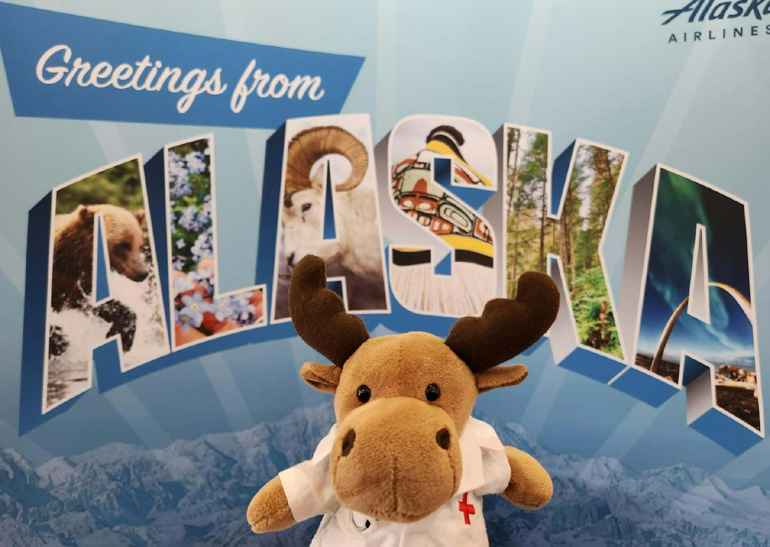 Miles the Moose, our mascot, travels with our healthcare providers, sharing their journeys of serving communities.