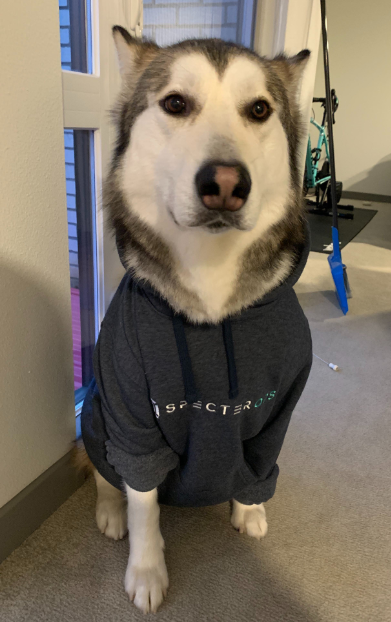 We love our furry team members!