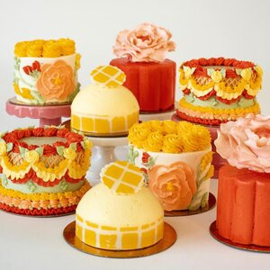 MANY beautiful cakes